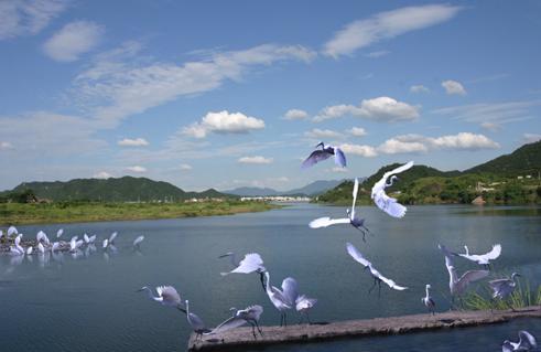 白鹭岛风景区