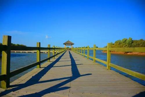 龙居黄河森林旅游区