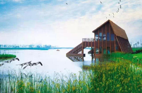 东滩湿地公园