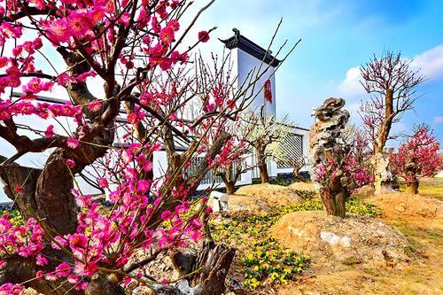 梅花湾景区