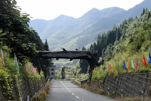 箬寮—安岱后景区