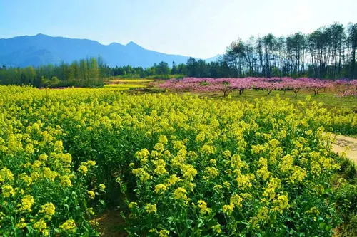 沔城风景名胜区