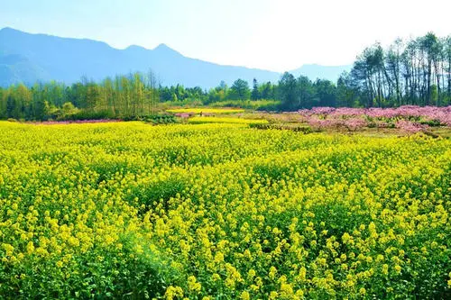 竹泉水利风景区